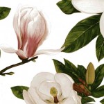 033 Magnolie